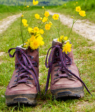 fotolia_41124920_small2
