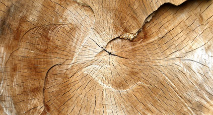 fotolia 42271168 small