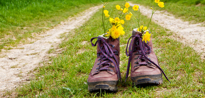 fotolia_41124920_startseite